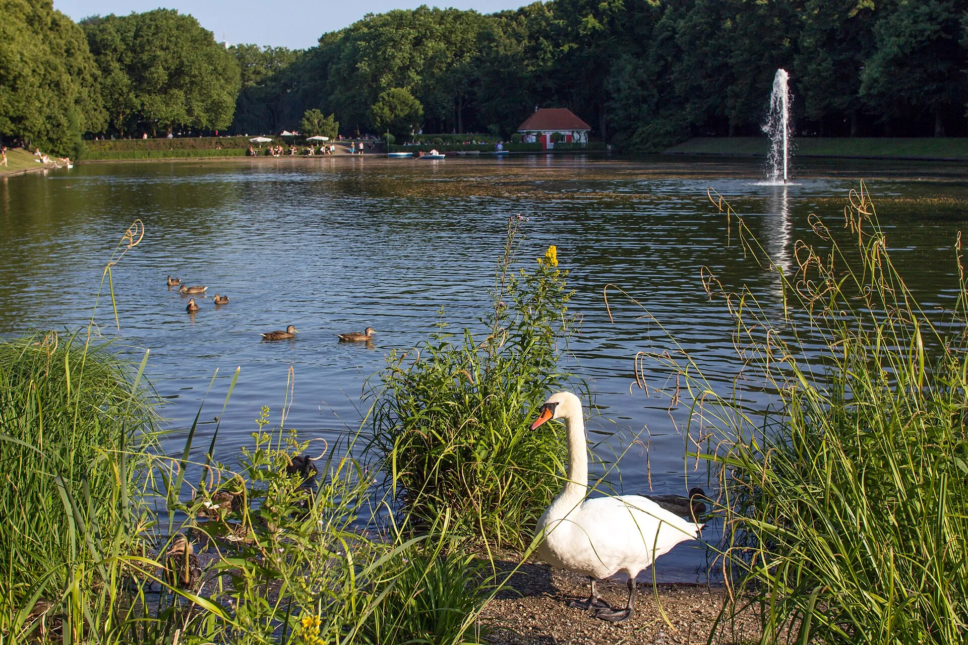 Wasserfläche mit Fontäne im Blücherpark, Köln-Bilderstöckchen