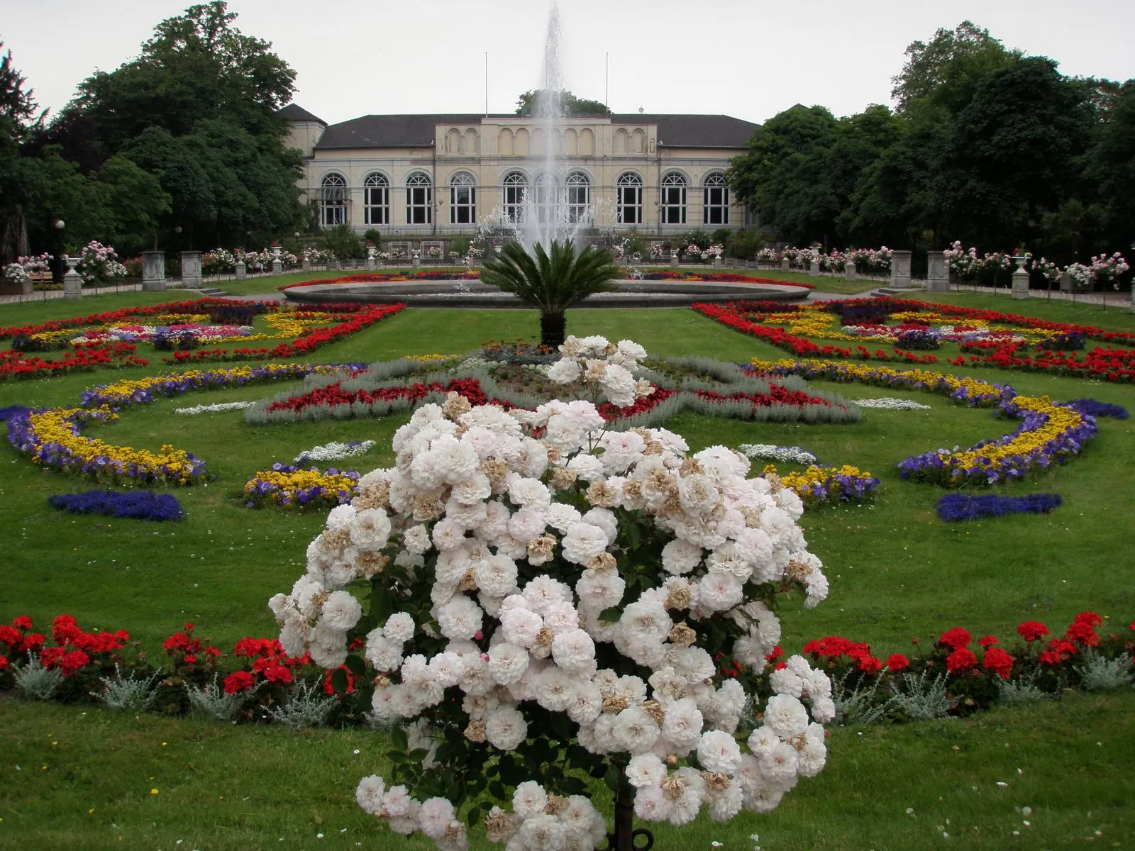 Flora