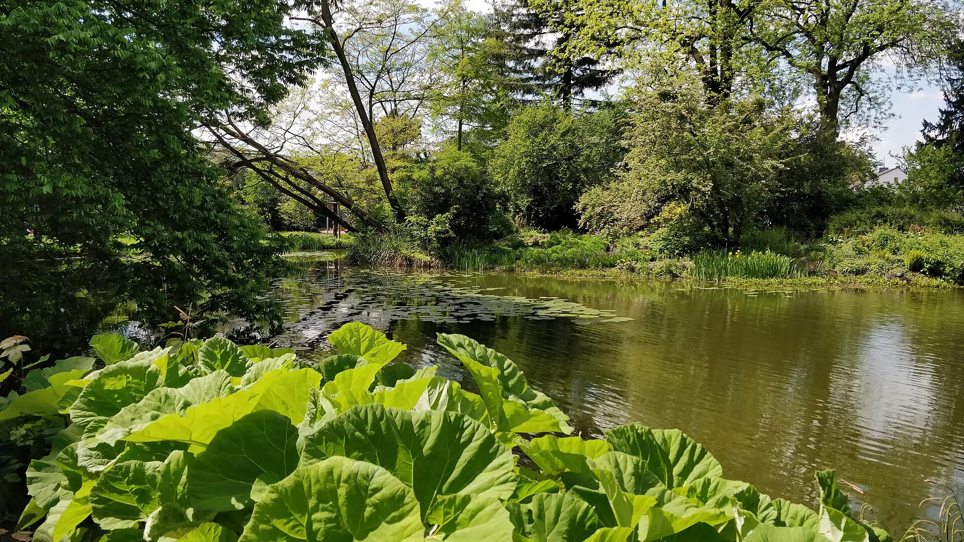 Flora Park Cologne Spring the most beautiful season of the year