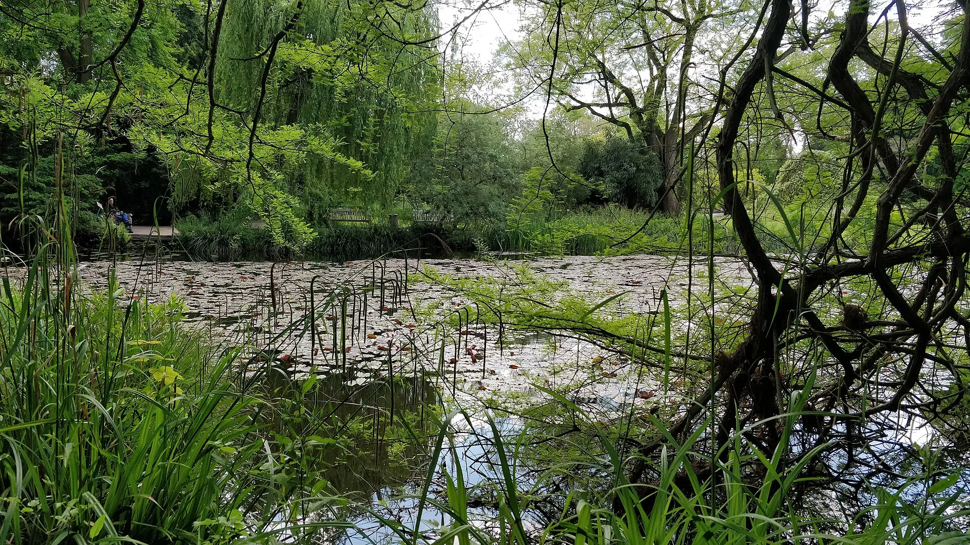 Flora-Lake