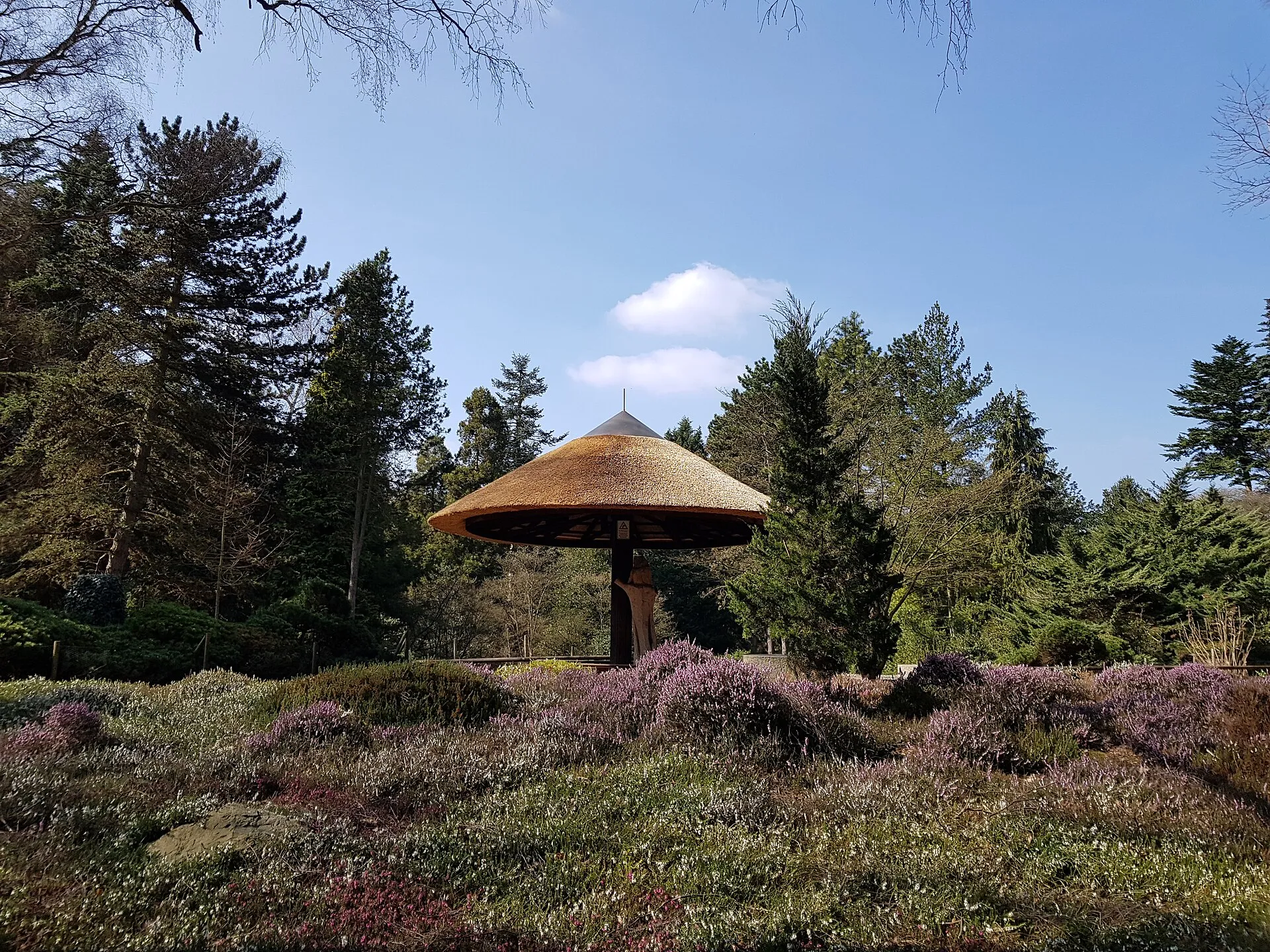 Wetterpilz im Forstbotanischen Garten Köln - Ansicht vom unteren Weg
