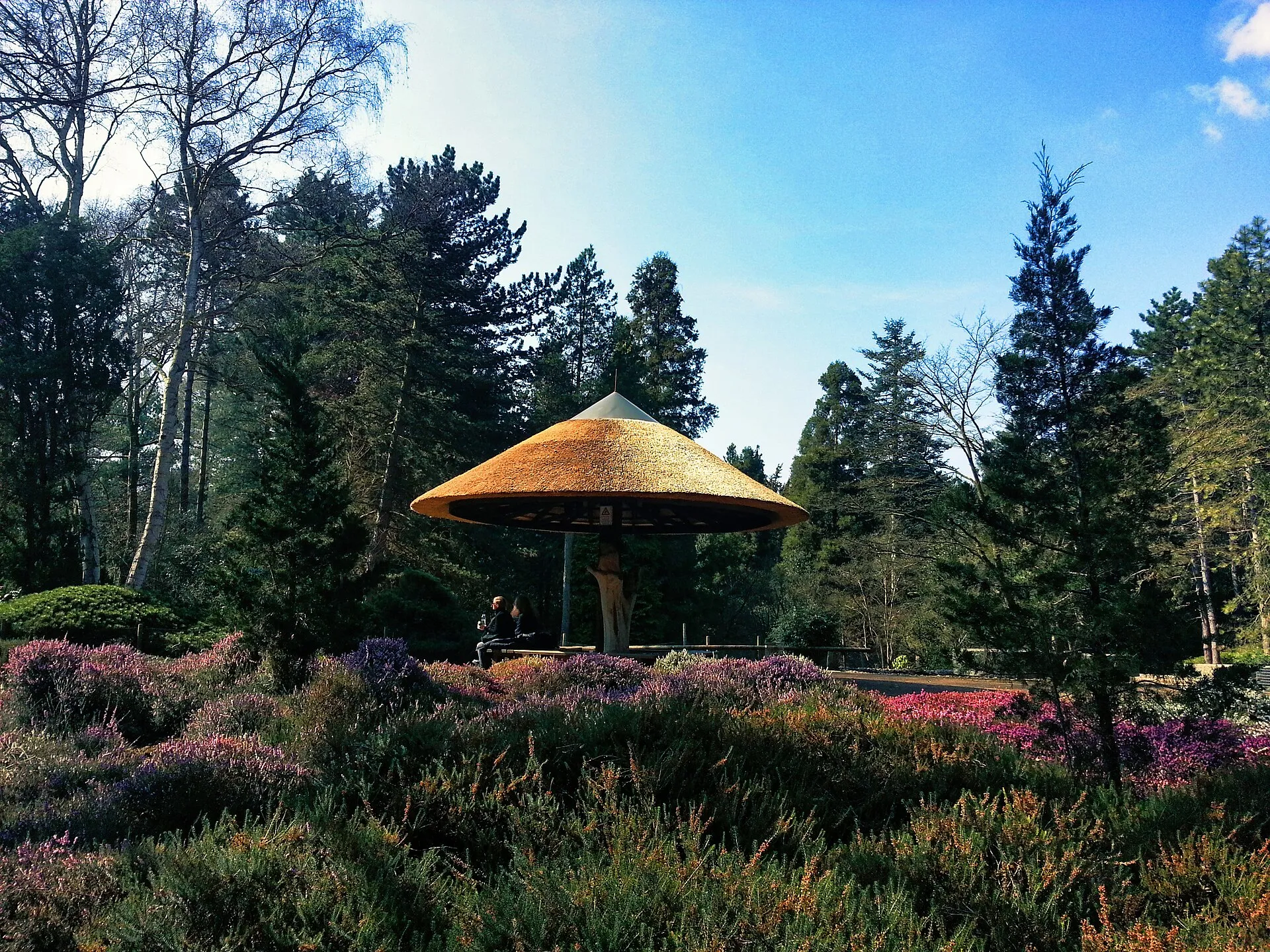 Wetterpilz im Forstbotanischen Garten Köln - Ansicht vom unteren Weg