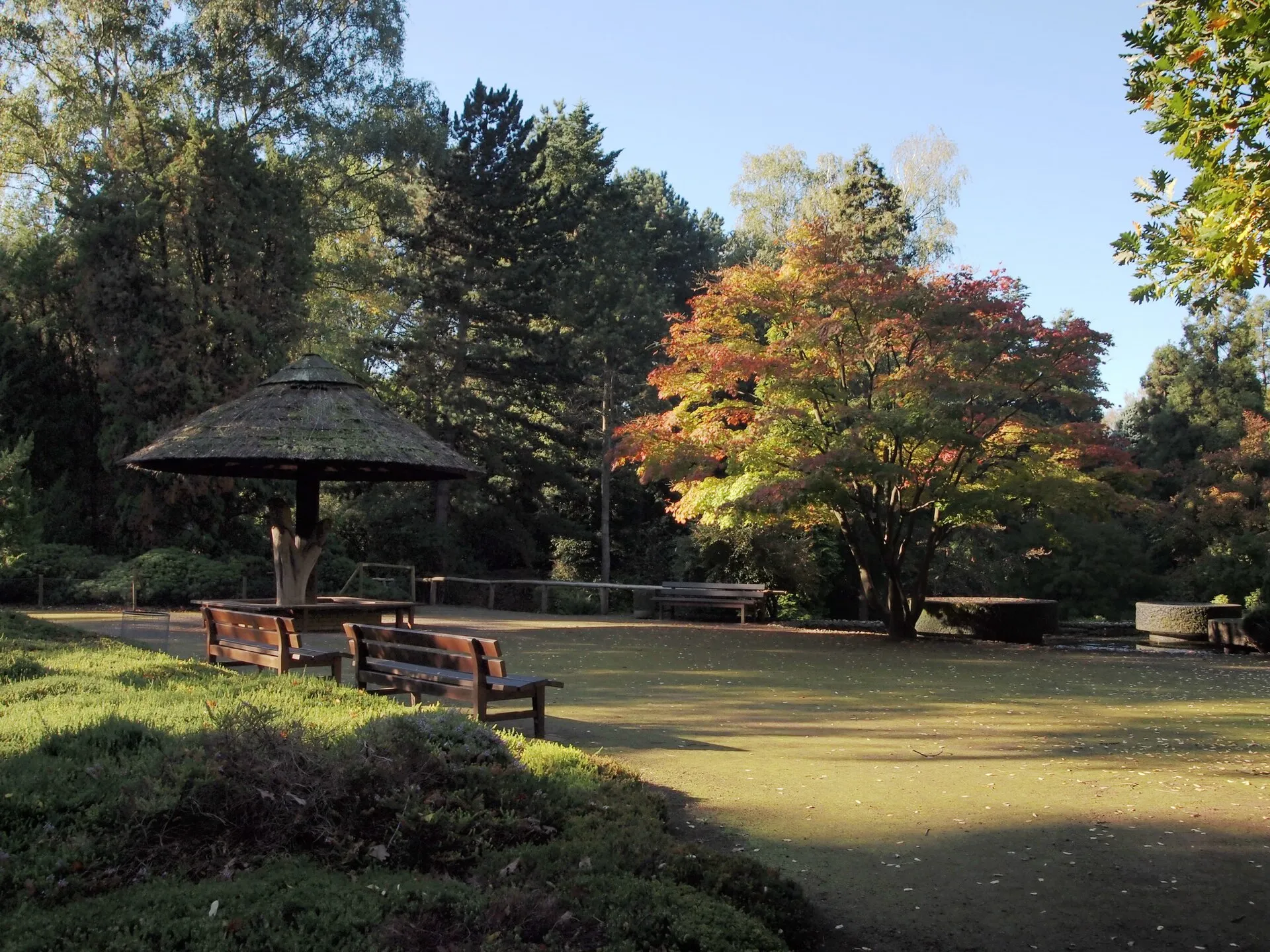 Forstbotanischer Garten in Köln-Rodenkirchen