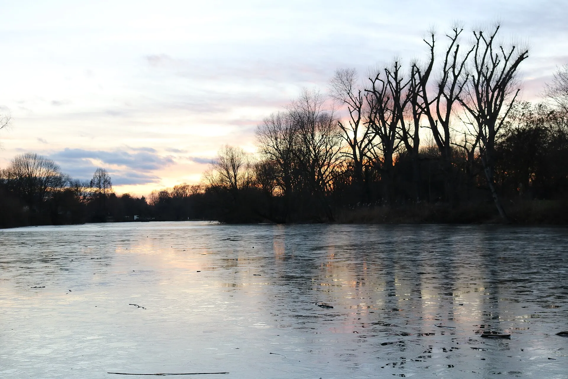 Sonnenuntergang an der Zündofer Groov in Köln; der Bereich liegt im Landschaftsschutzgebiet „Rhein, Rheinauen und Uferbereiche von Rodenkirchen bis Langel recht