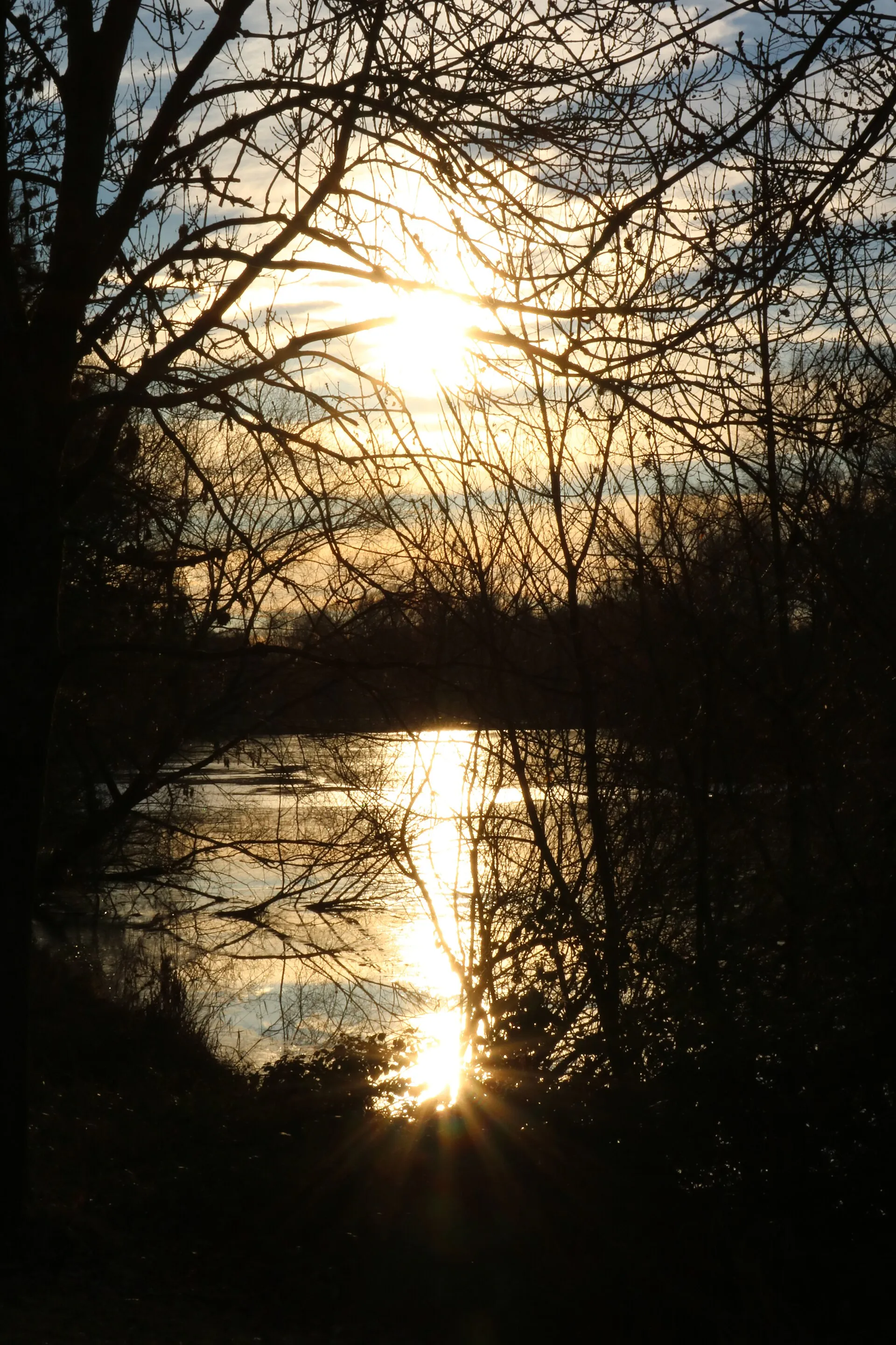 Vor Sonnenuntergang an der Zündofer Groov in Köln; der Bereich liegt im Landschaftsschutzgebiet „Rhein, Rheinauen und Uferbereiche von Rodenkirchen bis Langel r