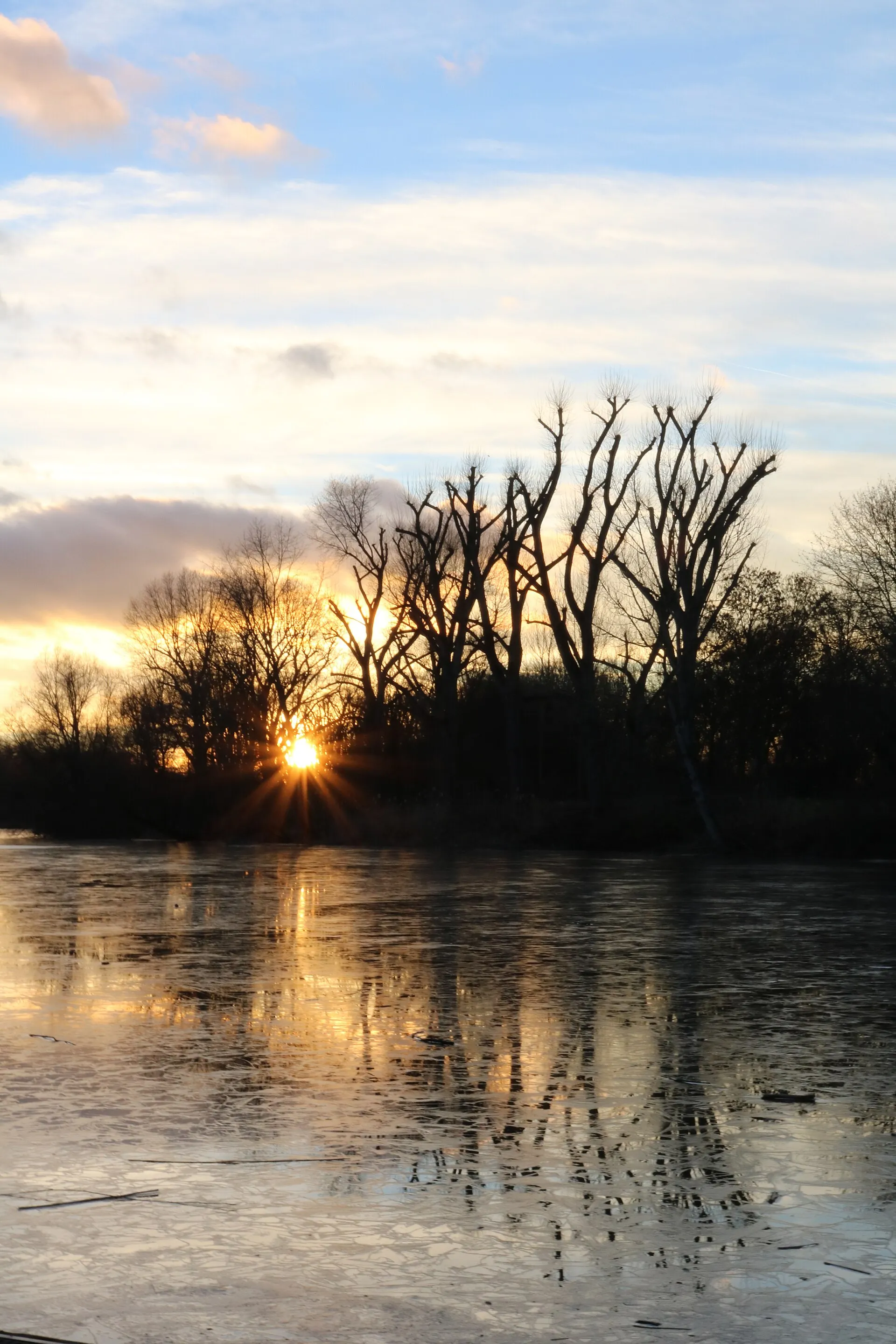 Sonnenuntergang an der Zündofer Groov in Köln; der Bereich liegt im Landschaftsschutzgebiet „Rhein, Rheinauen und Uferbereiche von Rodenkirchen bis Langel recht