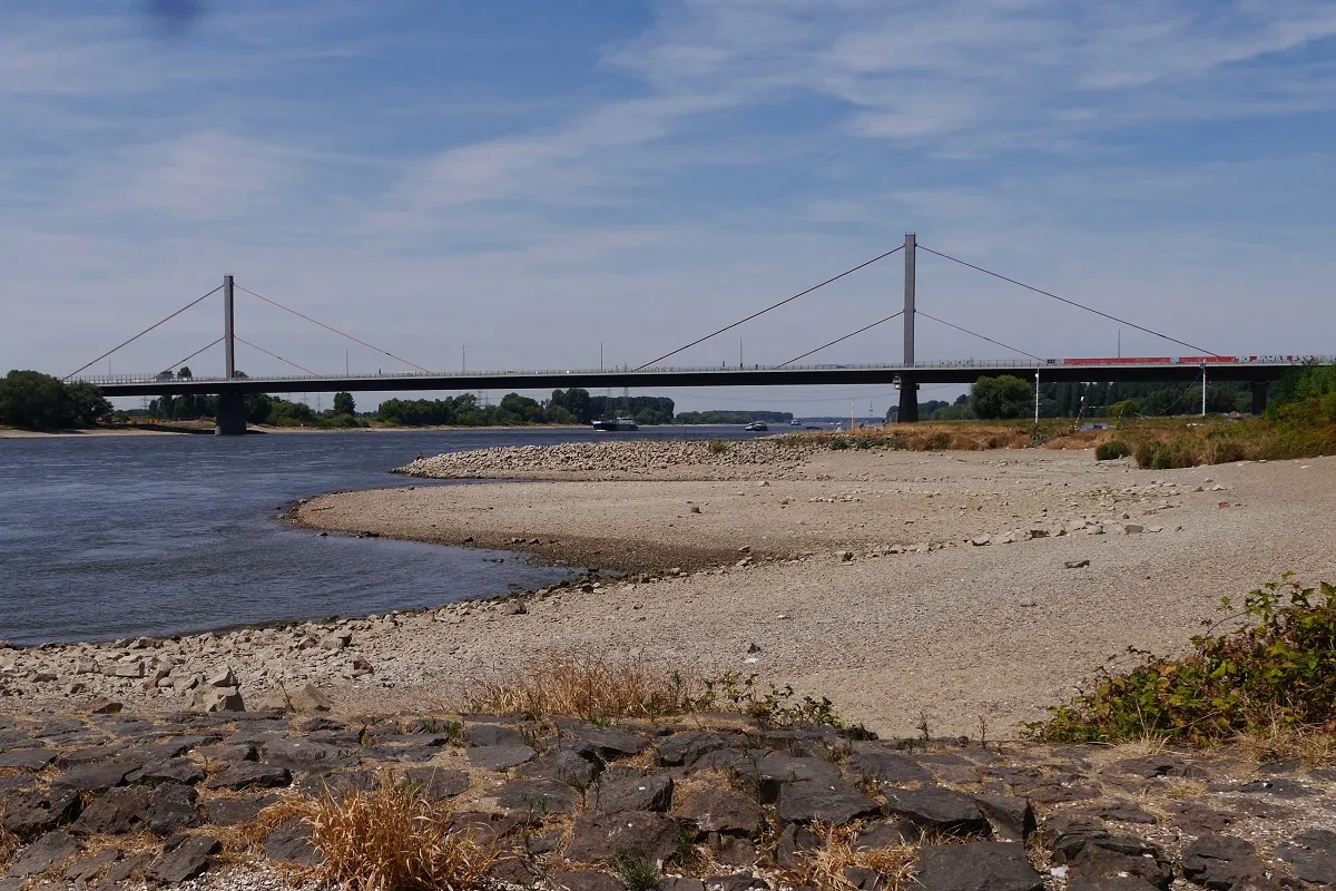 Rheinbrücke bei Leverkusen von Süden aus gesehen. Das Flussbett ist fast ausgetrocknet.