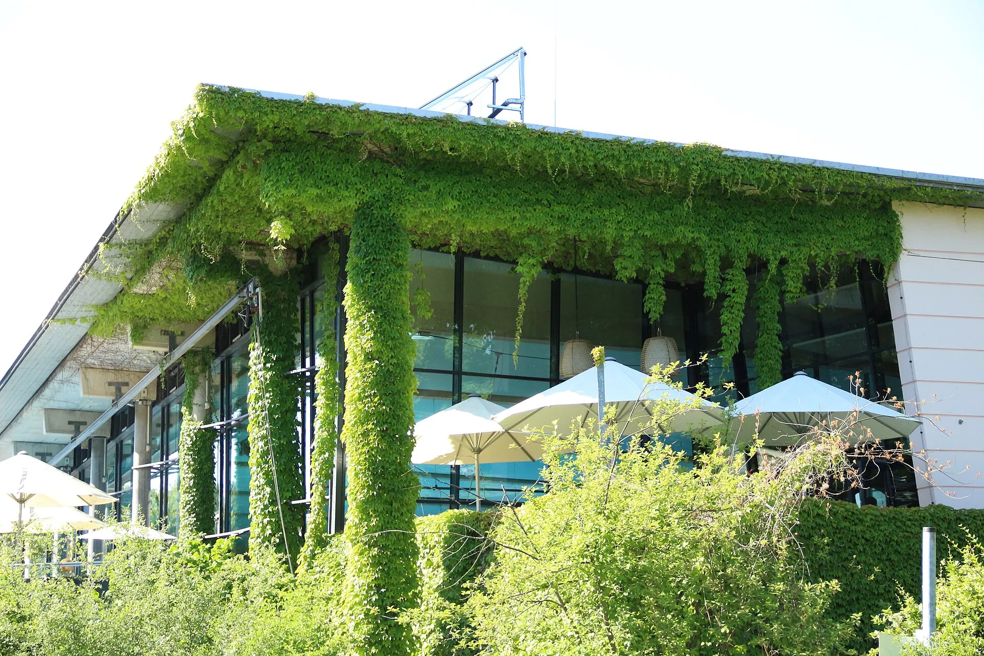 Rheinpark Köln